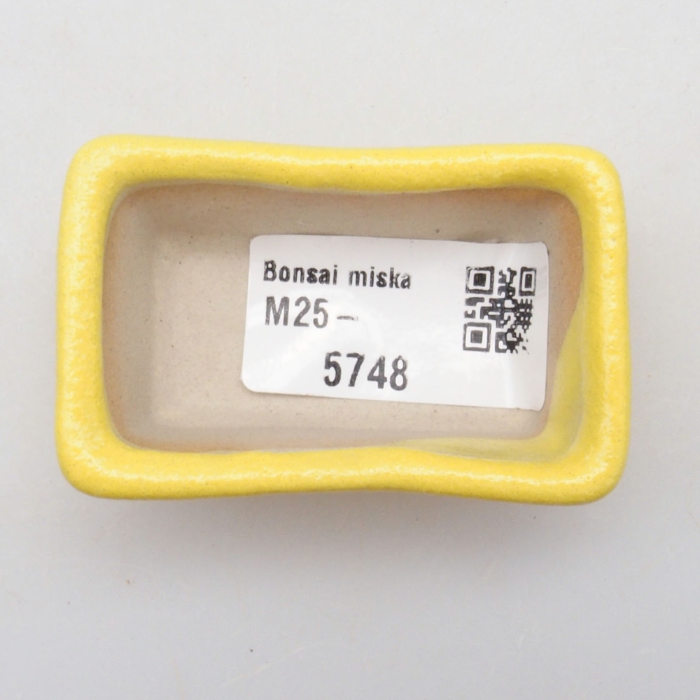 Bol à bonsaï en céramique 6 x 3,5 x 2,5 cm, jaune