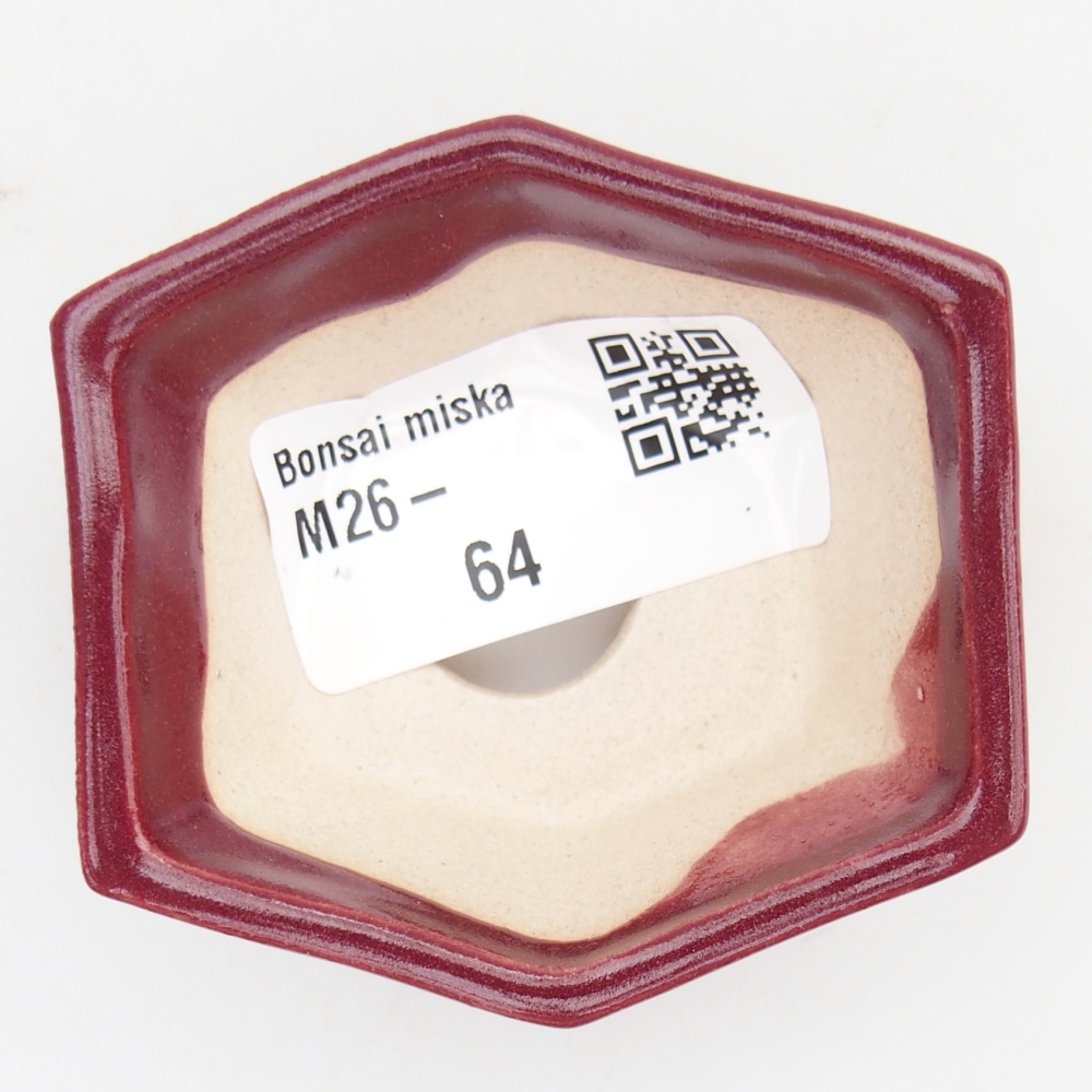 Mini bol bonsaï 6 x 5,5 x 2,5 cm, bordeaux