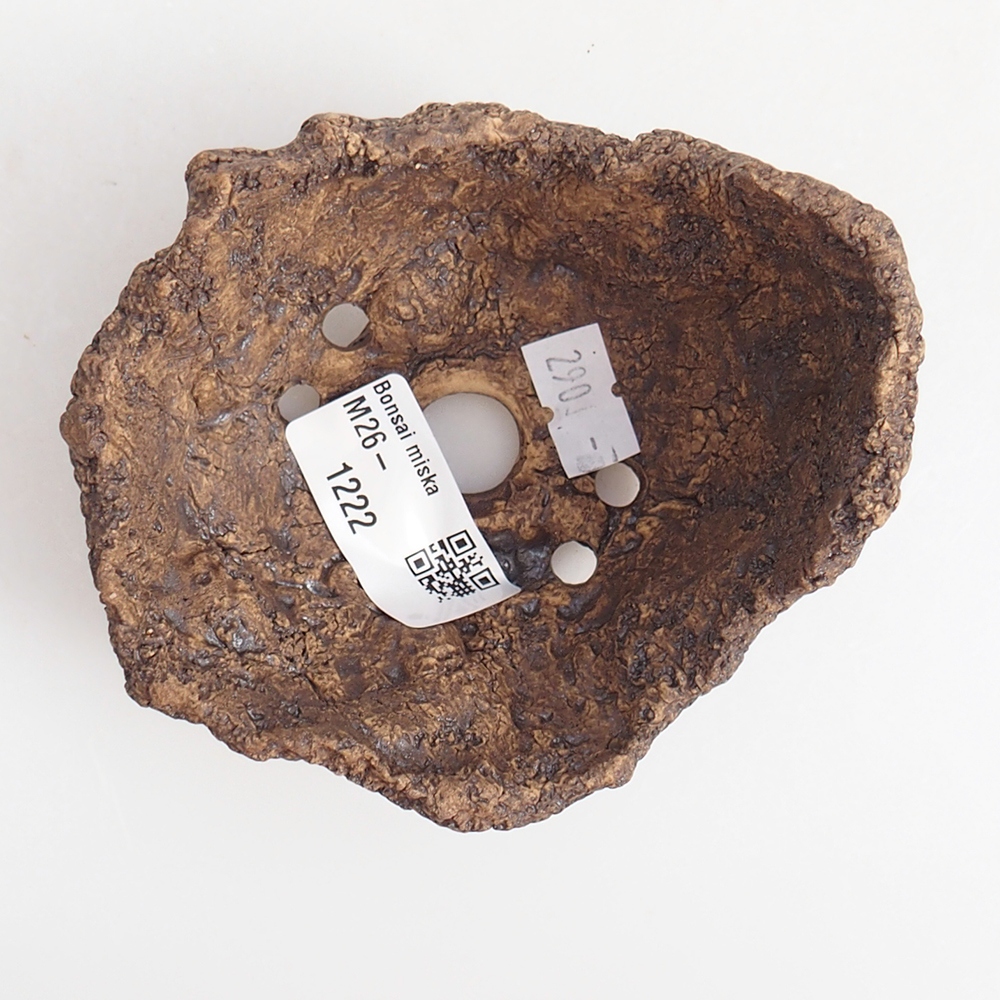 Coquille en céramique 9 x 8 x 7 cm , couleur marron