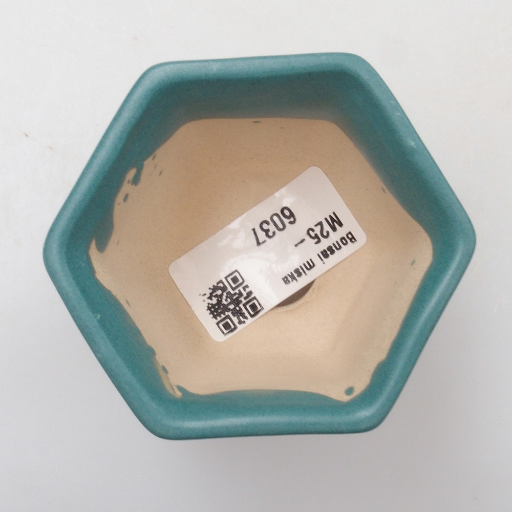 Bol à bonsaï en céramique 6,5 x 5,5 x 4 cm, couleur bleu