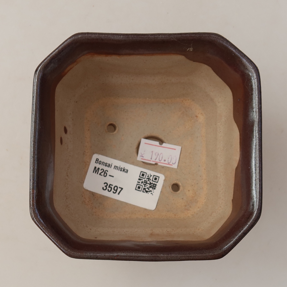 Pot à bonsaï en céramique 10 x 10 x 6,5 cm, couleur marron