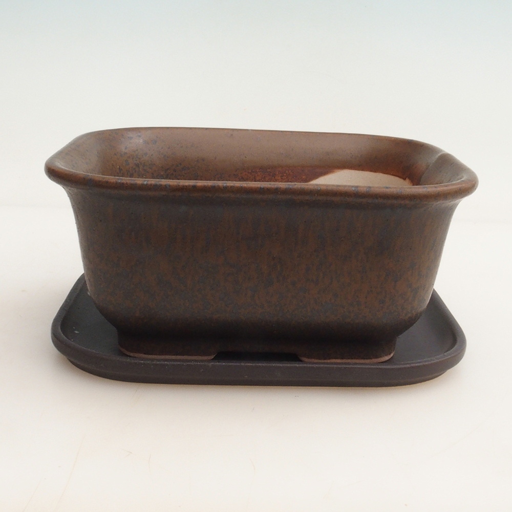 Bol Bonsaï + soucoupe H36 - 17 x 15 x 7,5 cm - marron