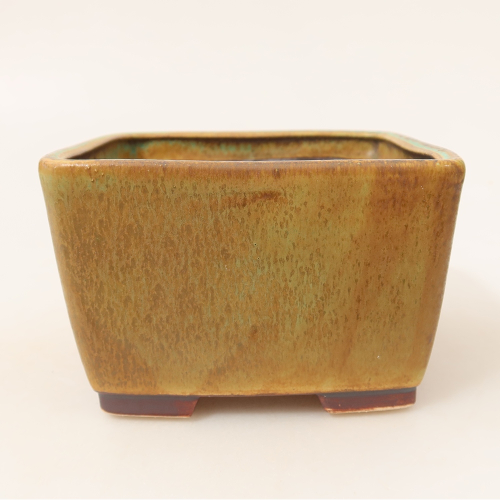 Bol à bonsaï en céramique 13 x 13 x 8 cm, vert