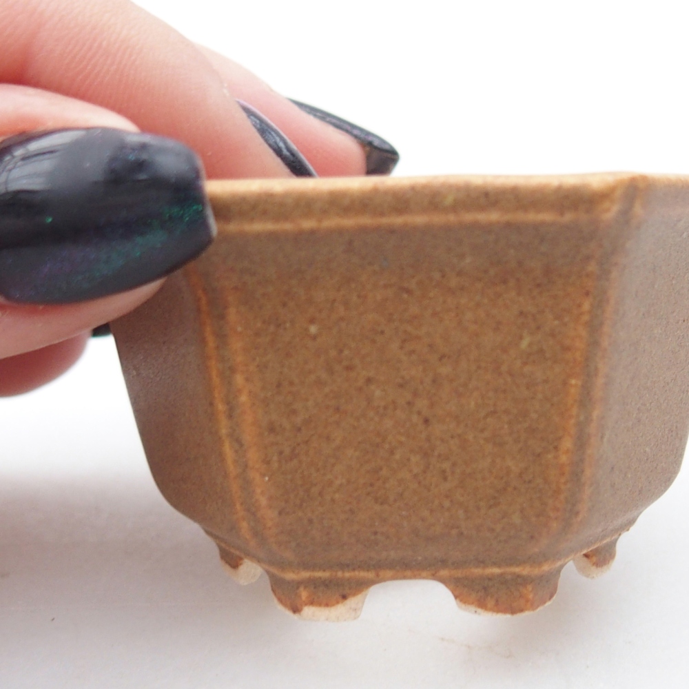 Mini bol bonsaï 5,5 x 5 x 3 cm, brun