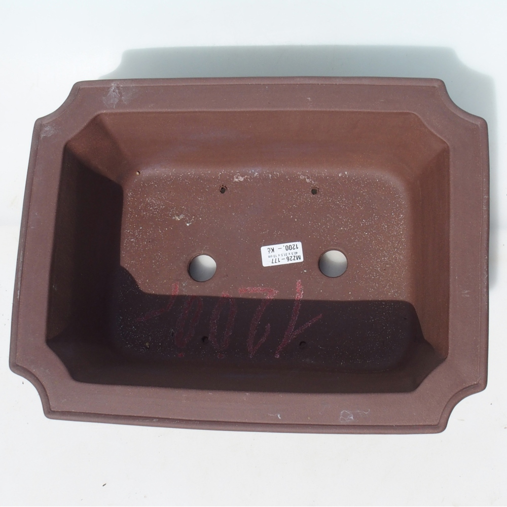 Bol pour bonsaï 40,5 x 31,5 x 13 cm bouleau brun