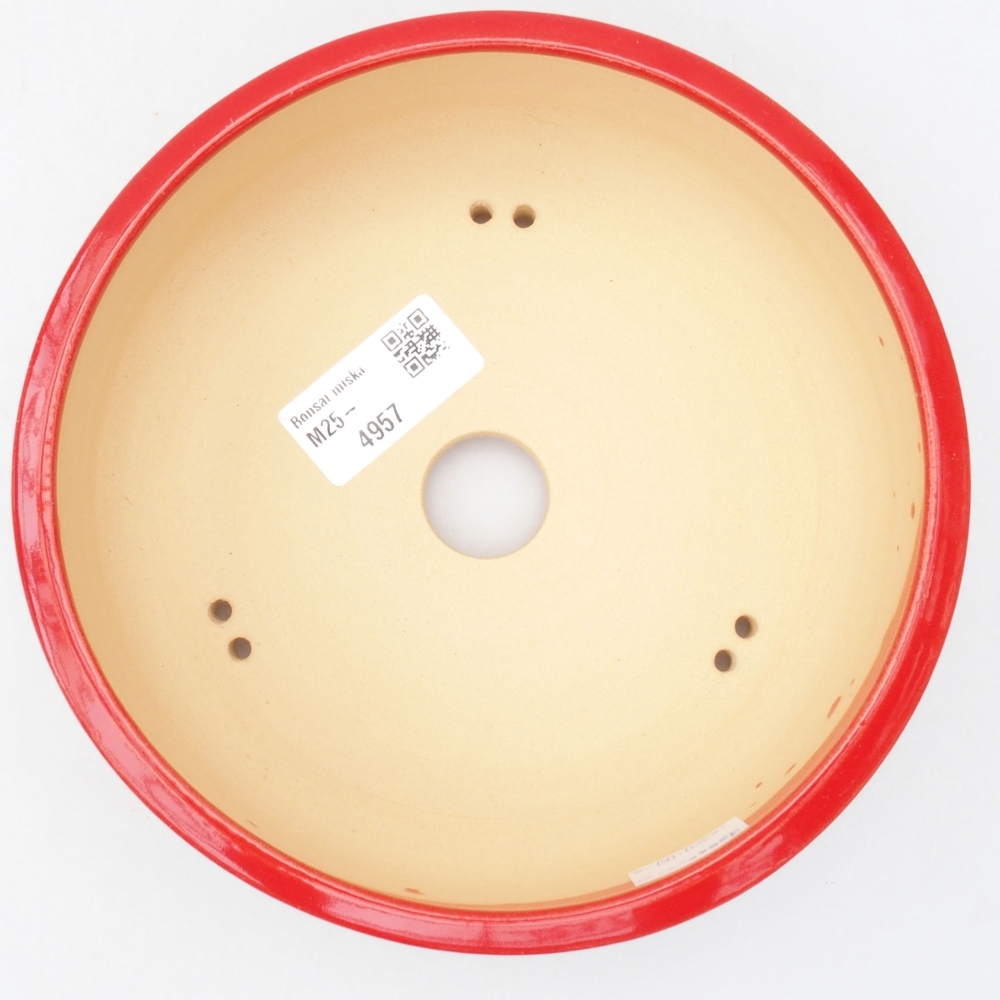 Bol à bonsaï en céramique 17 x 17 x 6 cm, couleur rouge