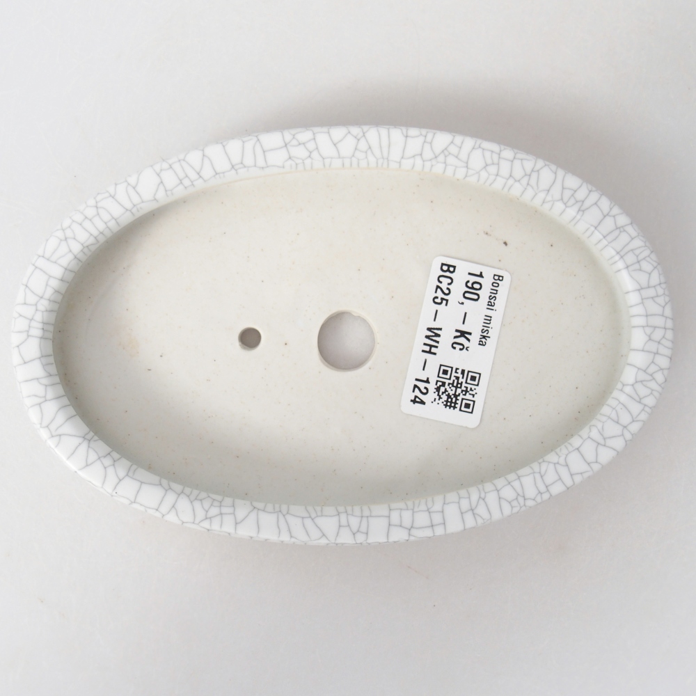 Bol à bonsaï en céramique 15,5 x 10 x 2 cm, couleur raku