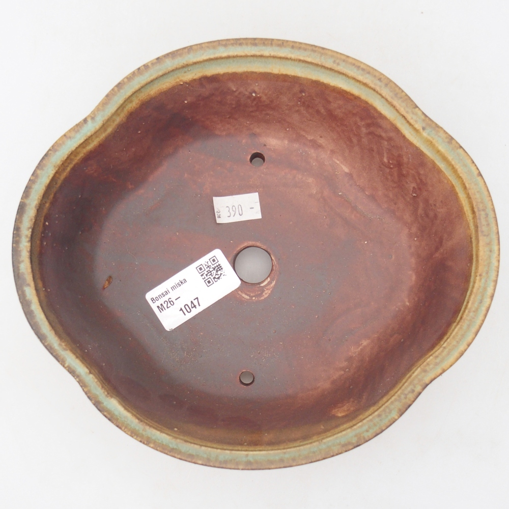 Bol à bonsaï en céramique 18,5 x 17 x 6 cm, vert