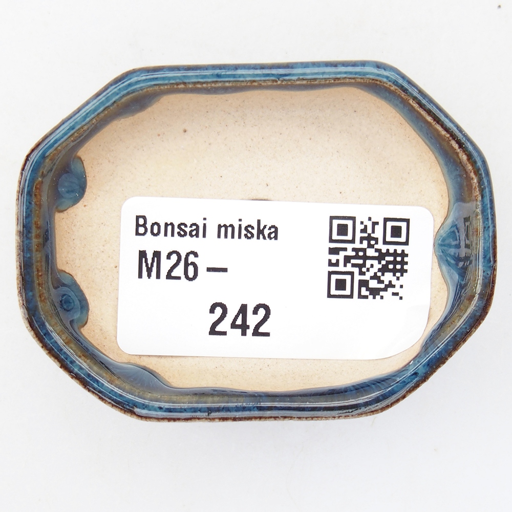Mini bol bonsaï 5,5 x 4 x 1,5 cm, couleur bleu