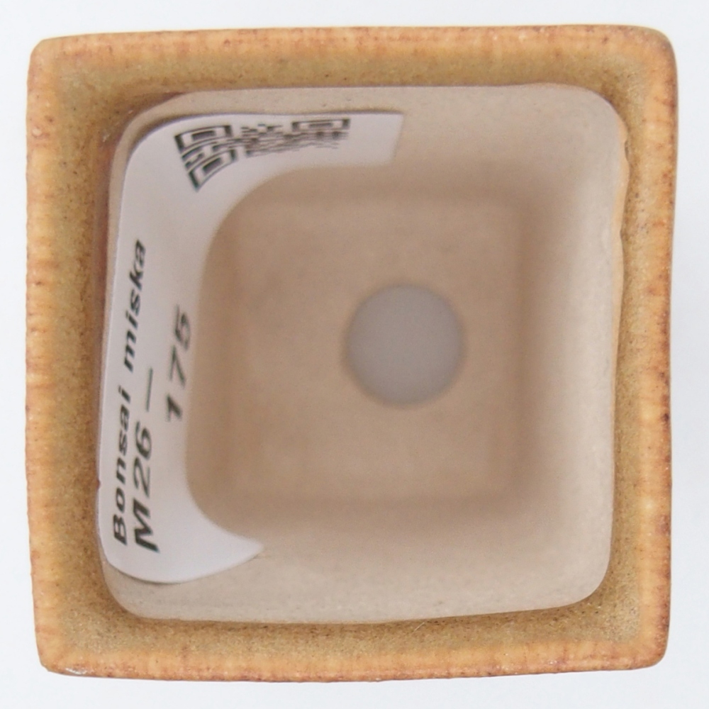 Mini bol à bonsaï 3,5 x 3,5 x 5 cm, brun