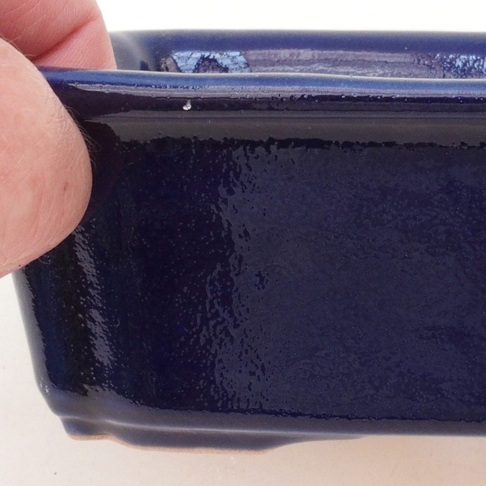 Coupe bonsaï H50 - 17 x 12,5 x 5,5 cm - bleu