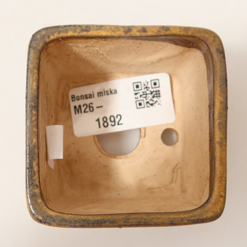 Pot à bonsaï en céramique 6 x 6 x 5 cm, couleur bleue
