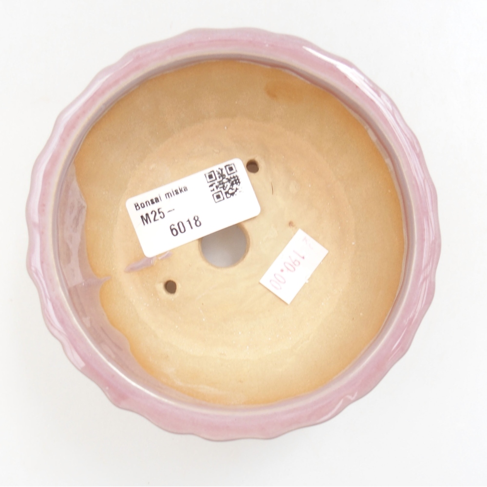 Bol à bonsaï en céramique 22 x 17 x 5 cm, vert