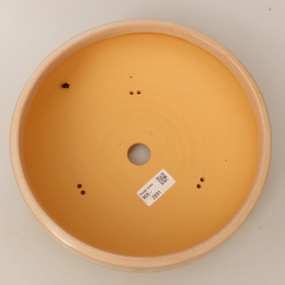 Pot à bonsaï en céramique 24 x 24 x 9 cm, couleur beige