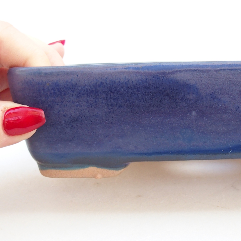 Bol à bonsaï en céramique 18,5 x 13,5 x 3,5 cm, couleur bleu