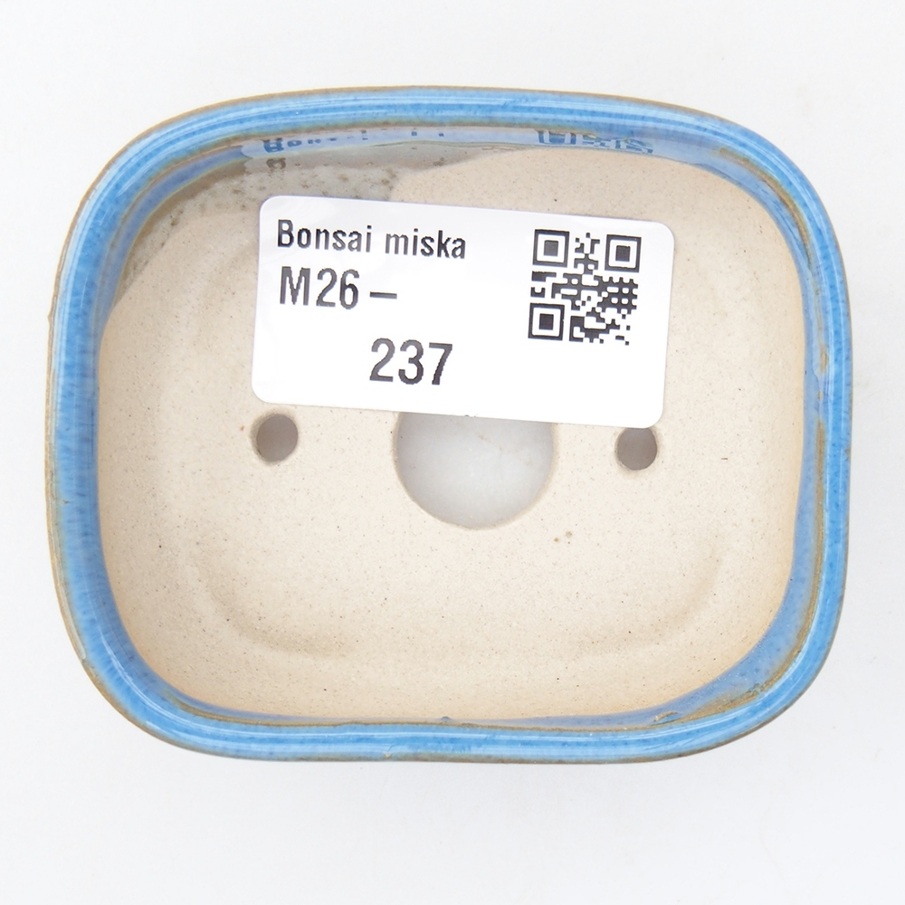 Mini bol bonsaï 7 x 6 x 2,5 cm, couleur bleu