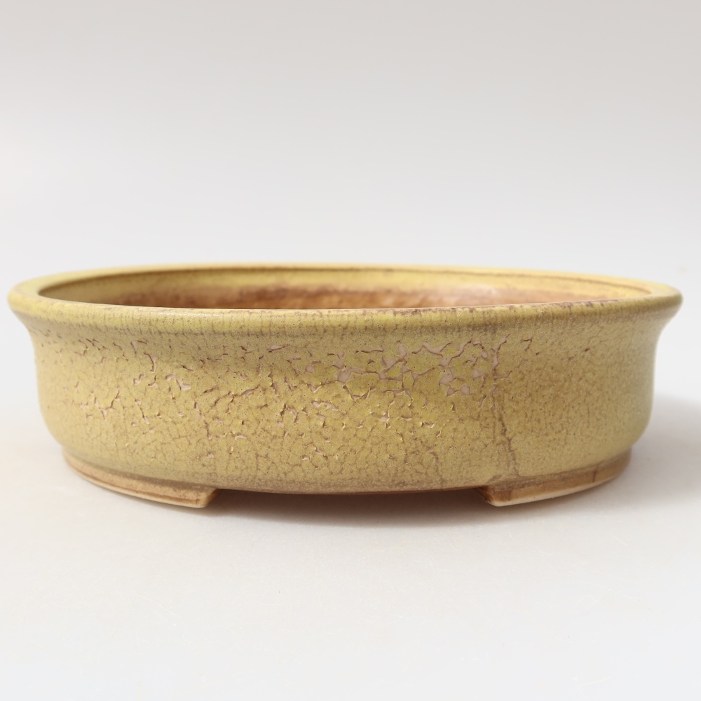 Pot à bonsaï en céramique 18 x 16,5 x 4,5 cm, couleur jaune