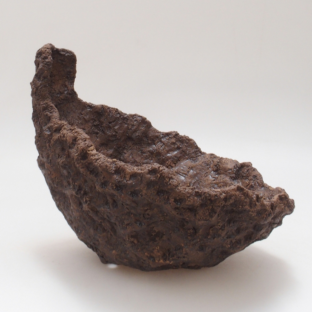 Coquille en céramique 17,5 x 16 x 17,5 cm , couleur marron