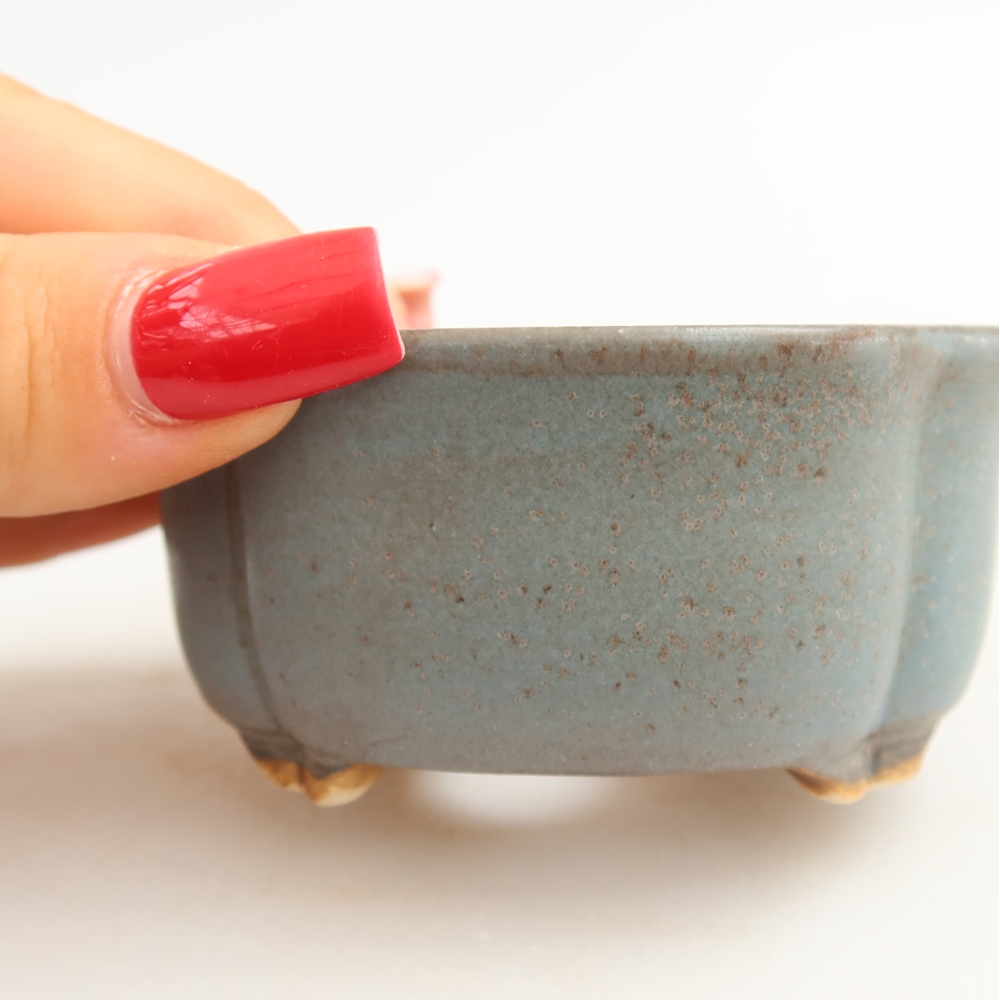 Pot à bonsaï en céramique 8 x 7,5 x 3,5 cm, couleur bleue