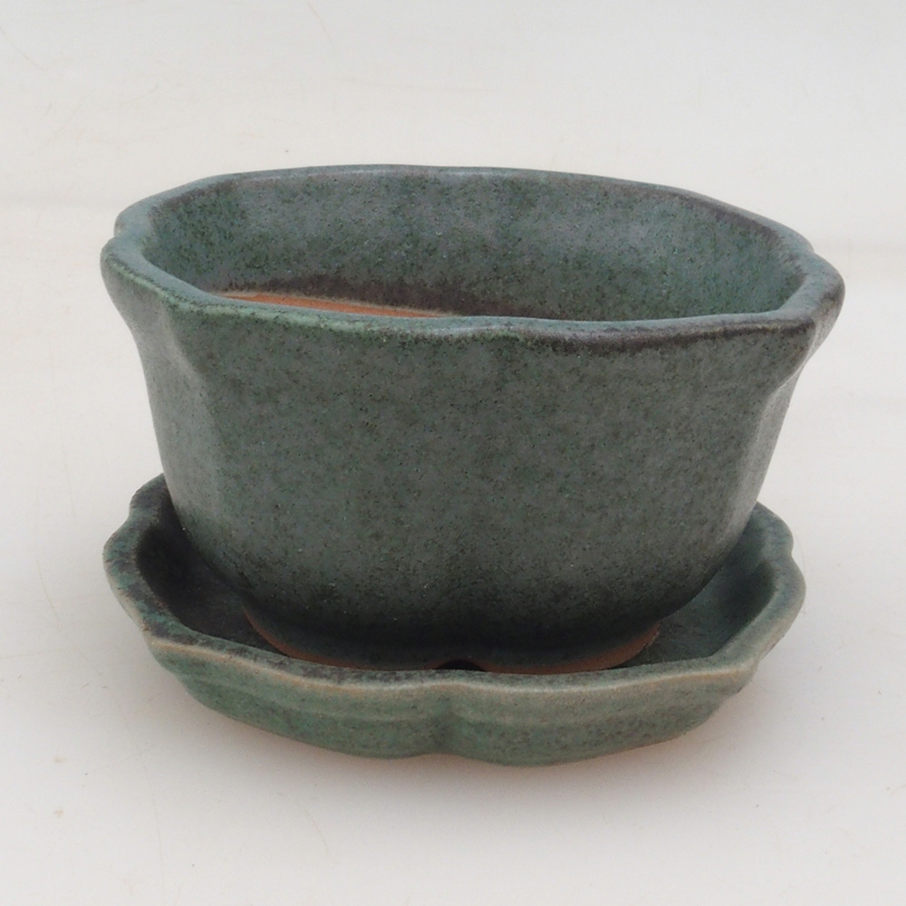 Bol Bonsaï + soucoupe H95 - vert