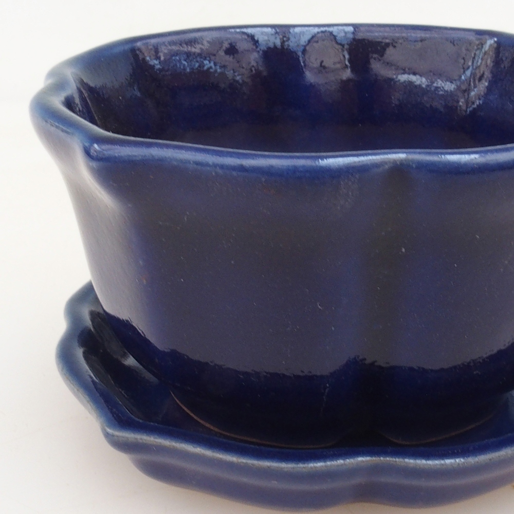 Bol Bonsaï + soucoupe H95 - bleu