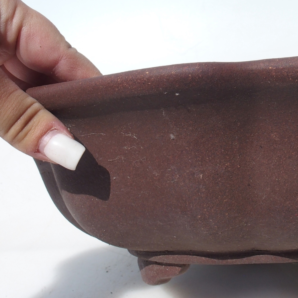 Bol pour bonsaï 28 x 28 x 9,5 cm bouleau brun