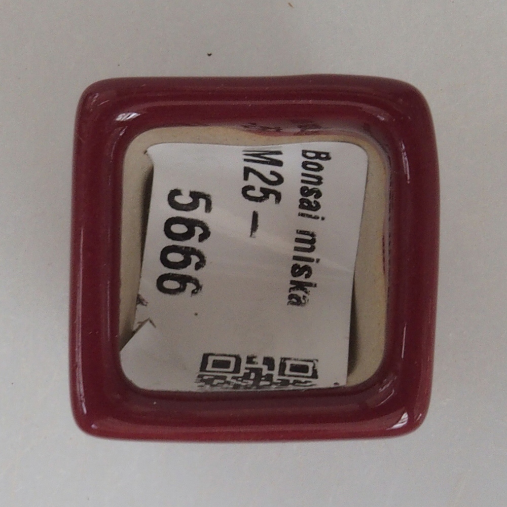 Mini bol bonsaï 3 x 3 x 3,5 cm, bordeaux