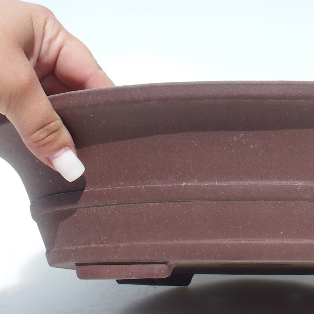 Bol pour bonsaï 33 x 27 x 8,5 cm bouleau brun