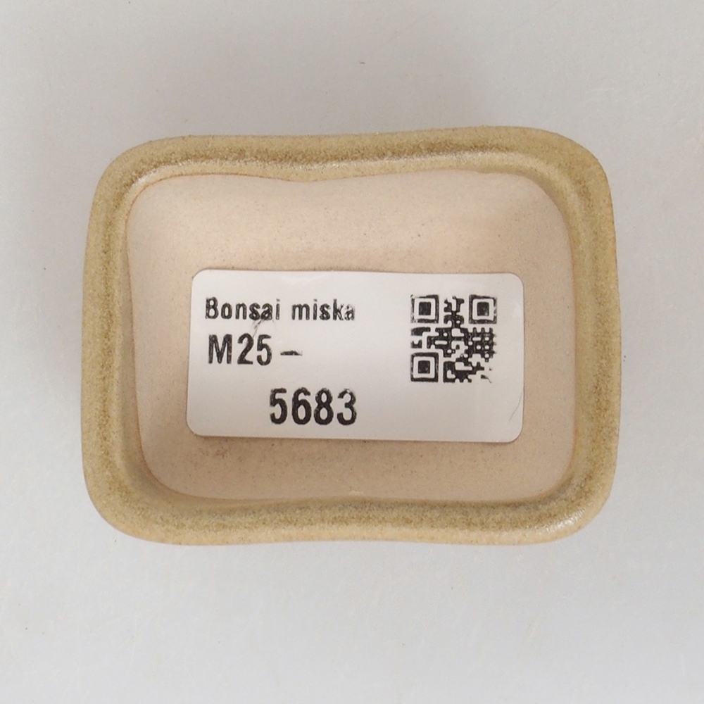 Mini bol bonsaï 5,5 x 4,5 x 2,5 cm, brun