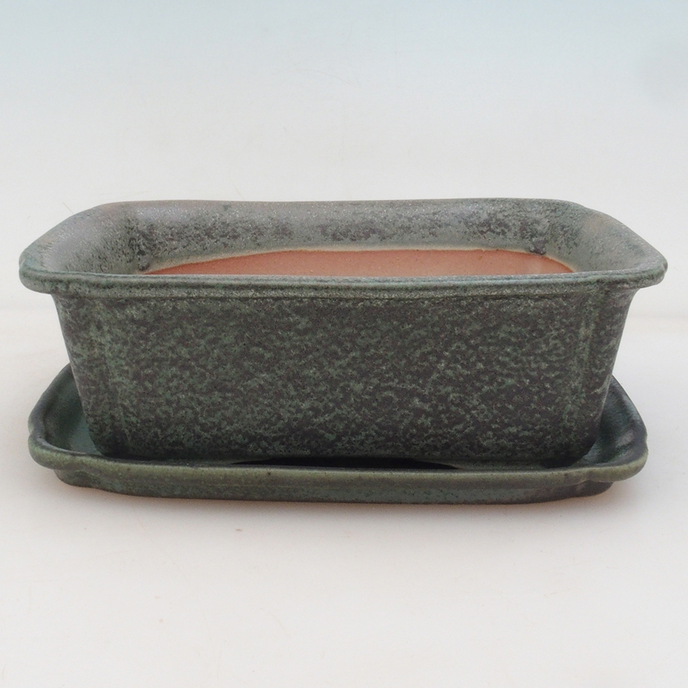 Bol Bonsaï + soucoupe H50 - vert