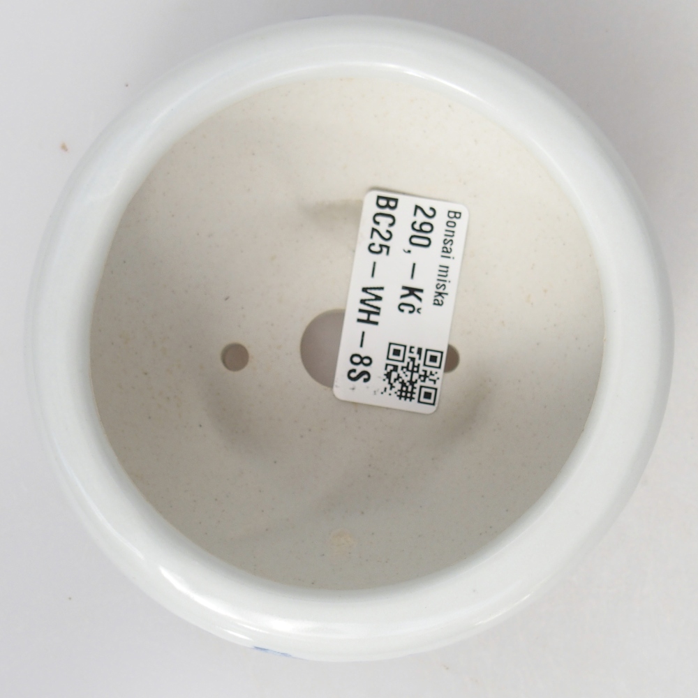 Bol à bonsaï en céramique 10 x 10 x 5 cm, couleur blanc