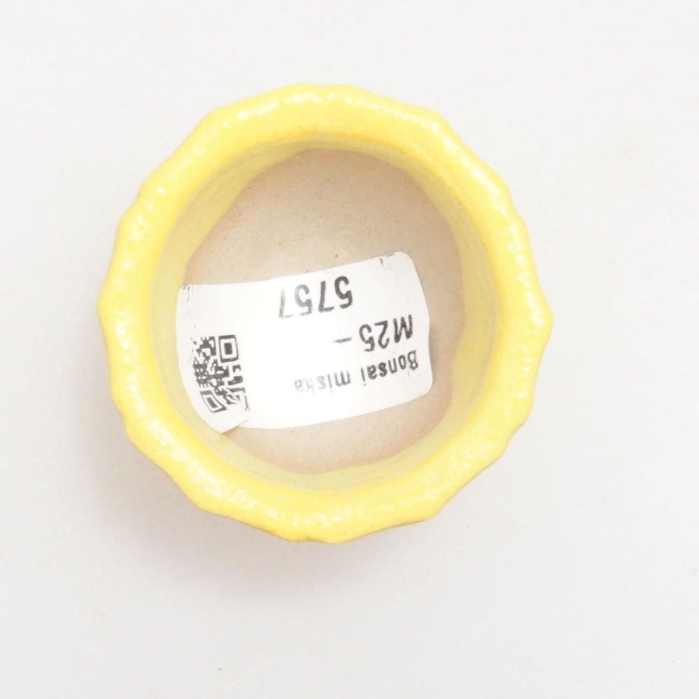 Bol à bonsaï en céramique 5 x 5 x 3 cm, jaune