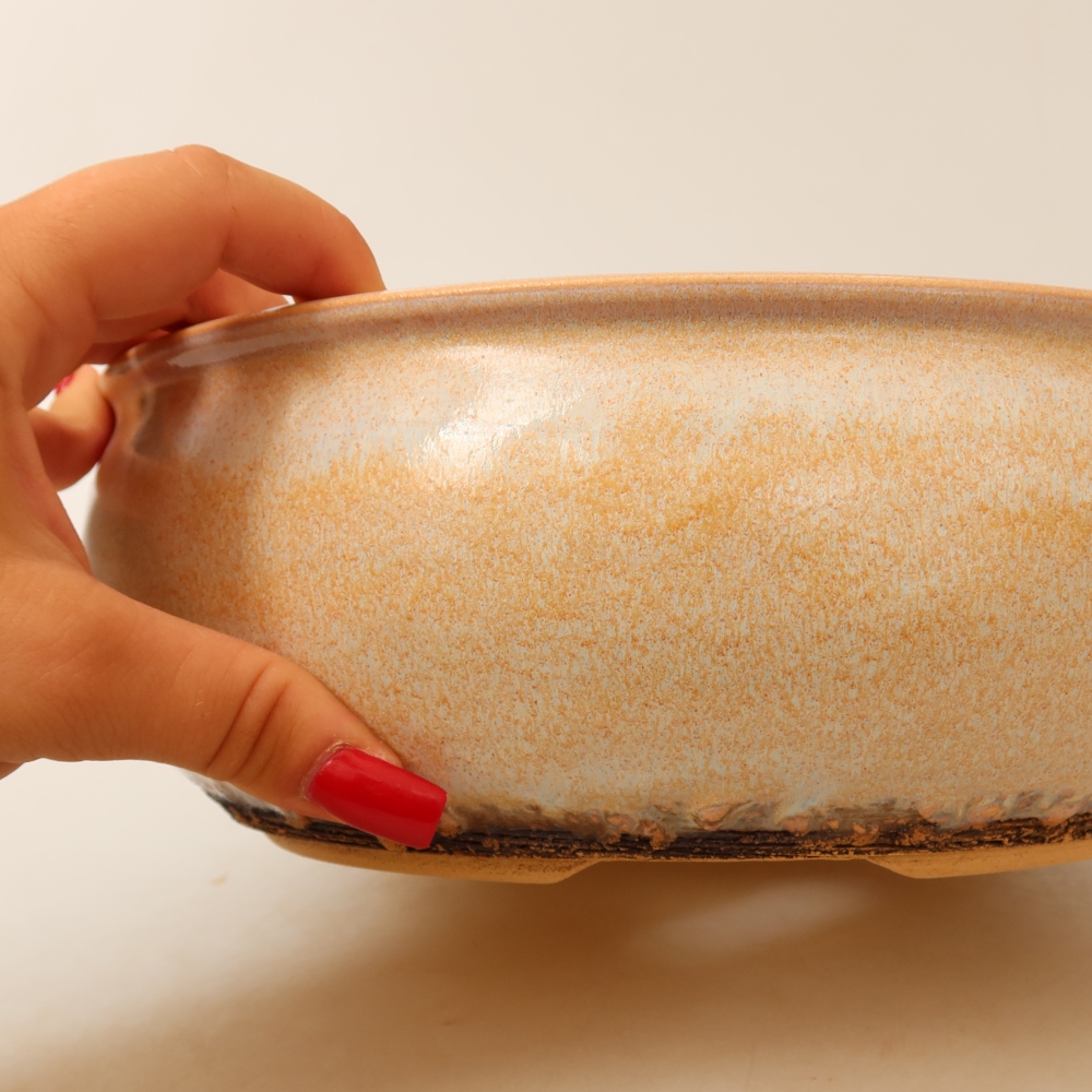 Pot à bonsaï en céramique 24 x 24 x 9 cm, couleur beige