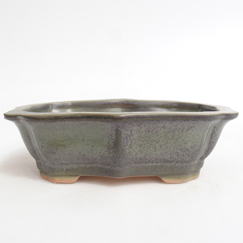 Bol à bonsaï en céramique 15,5 x 11,5 x 4,5 cm, vert