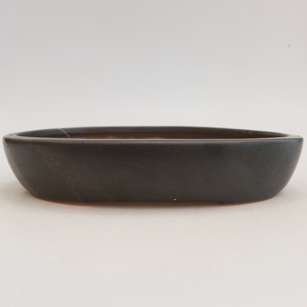 Pot à bonsaï en céramique 22 x 17 x 4 cm, couleur grise