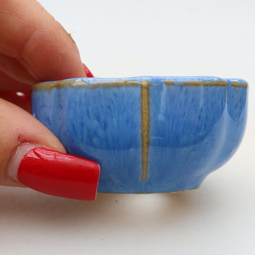 Pot à bonsaï en céramique 6 x 6 x 3 cm, couleur bleue