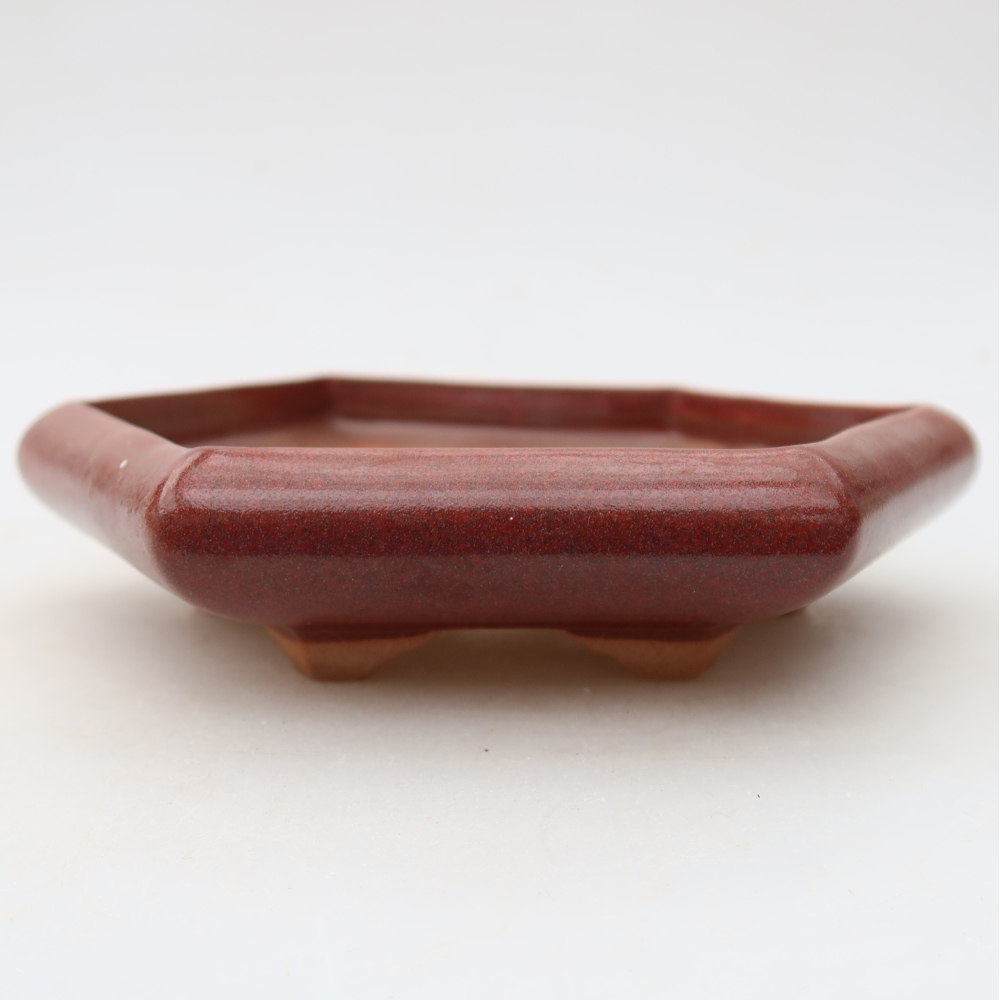 Pot à bonsaï en céramique 17 x 15 x 4 cm, couleur bordeaux
