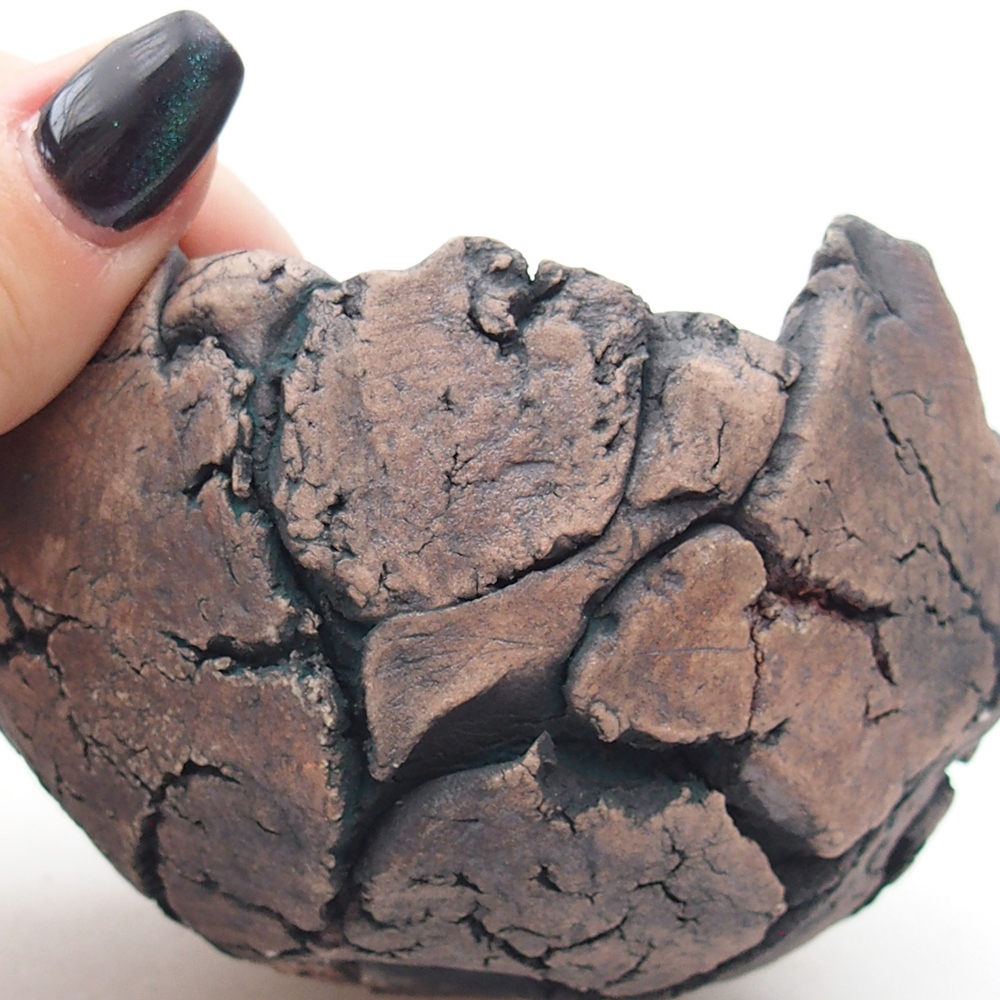 Coquille en céramique 9 x 9 x 6 cm , couleur verte