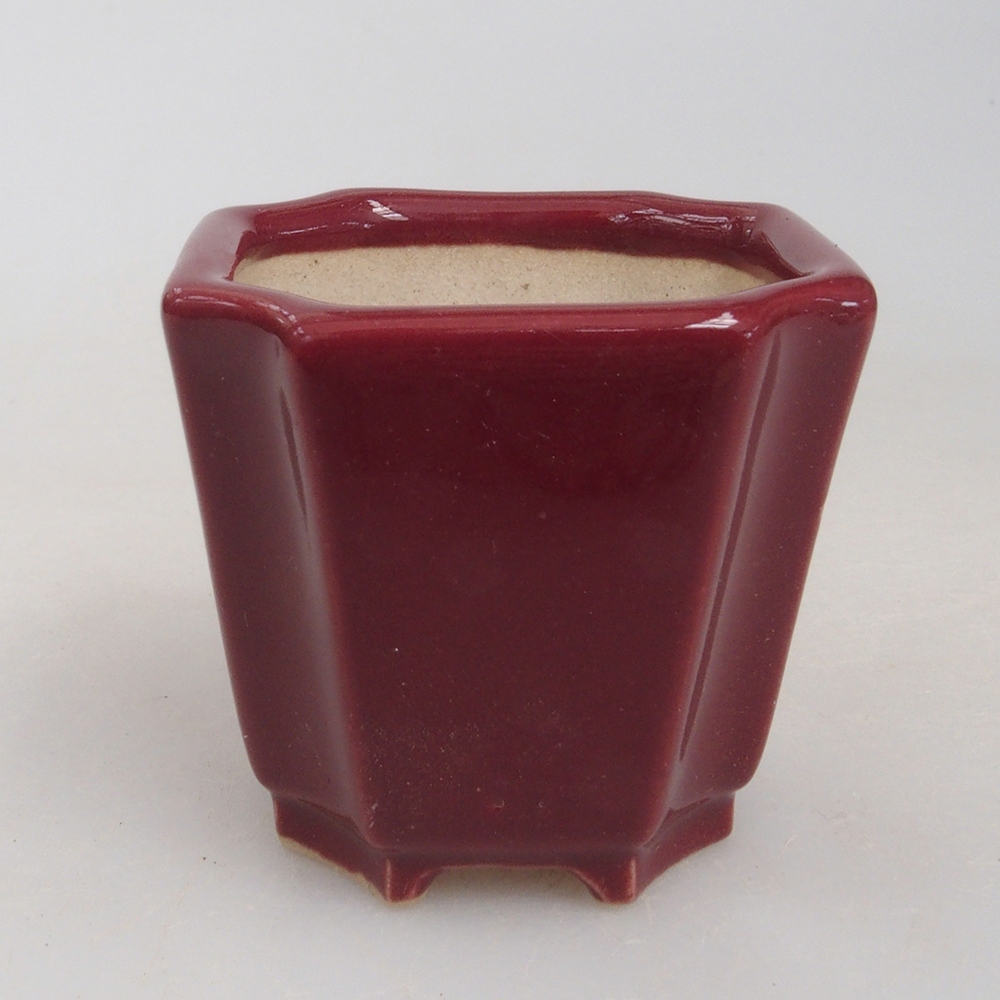 Mini bol bonsaï 4 x 4 x 4 cm, bordeaux