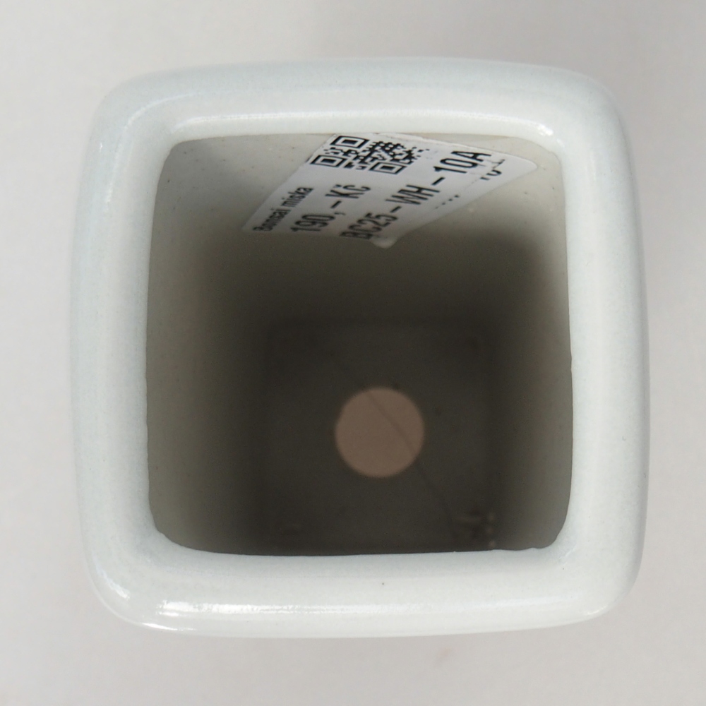 Bol à bonsaï en céramique 5,5 x 5,5 x 12 cm, couleur blanc