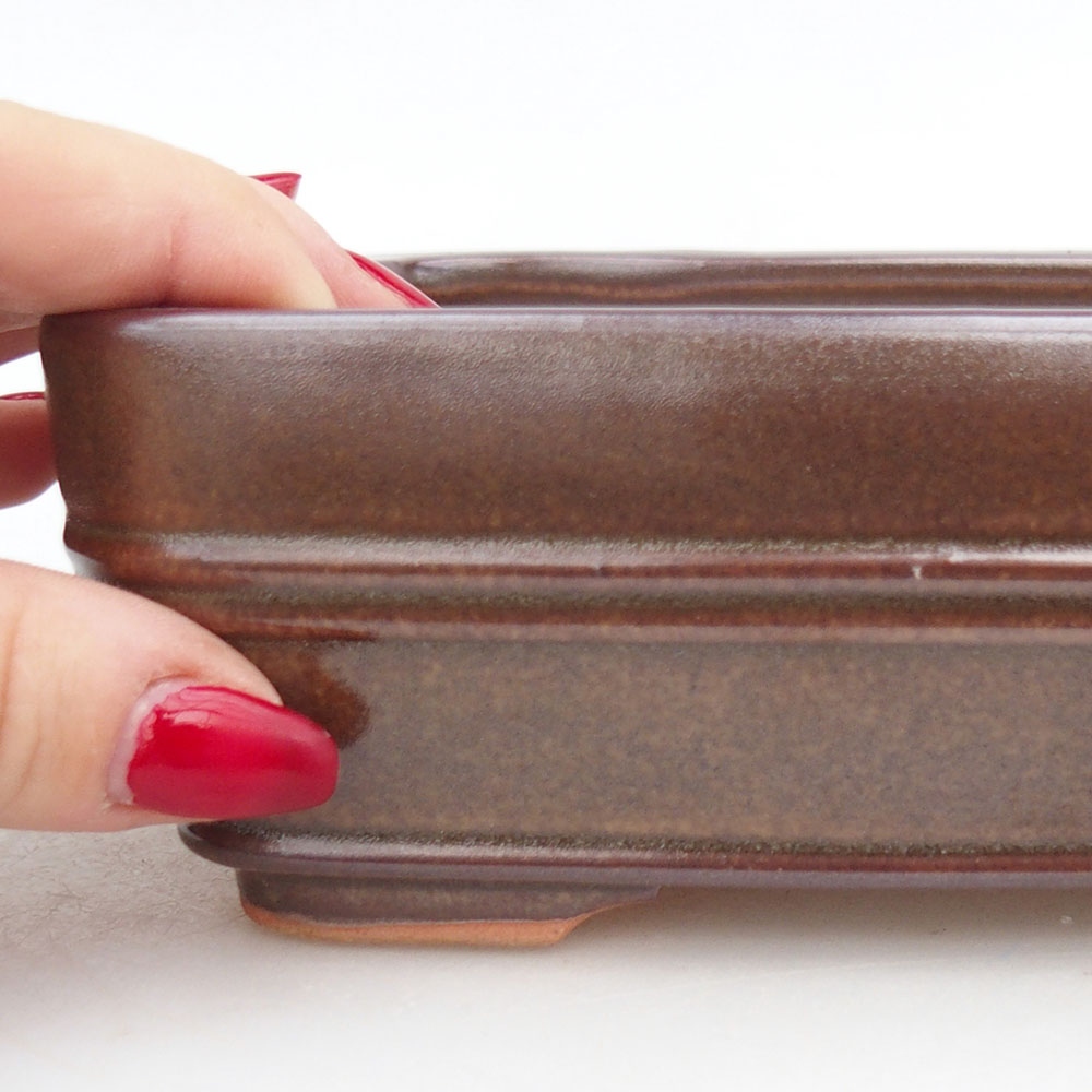 Bol à bonsaï en céramique 17 x 12 x 5,5 cm, brun