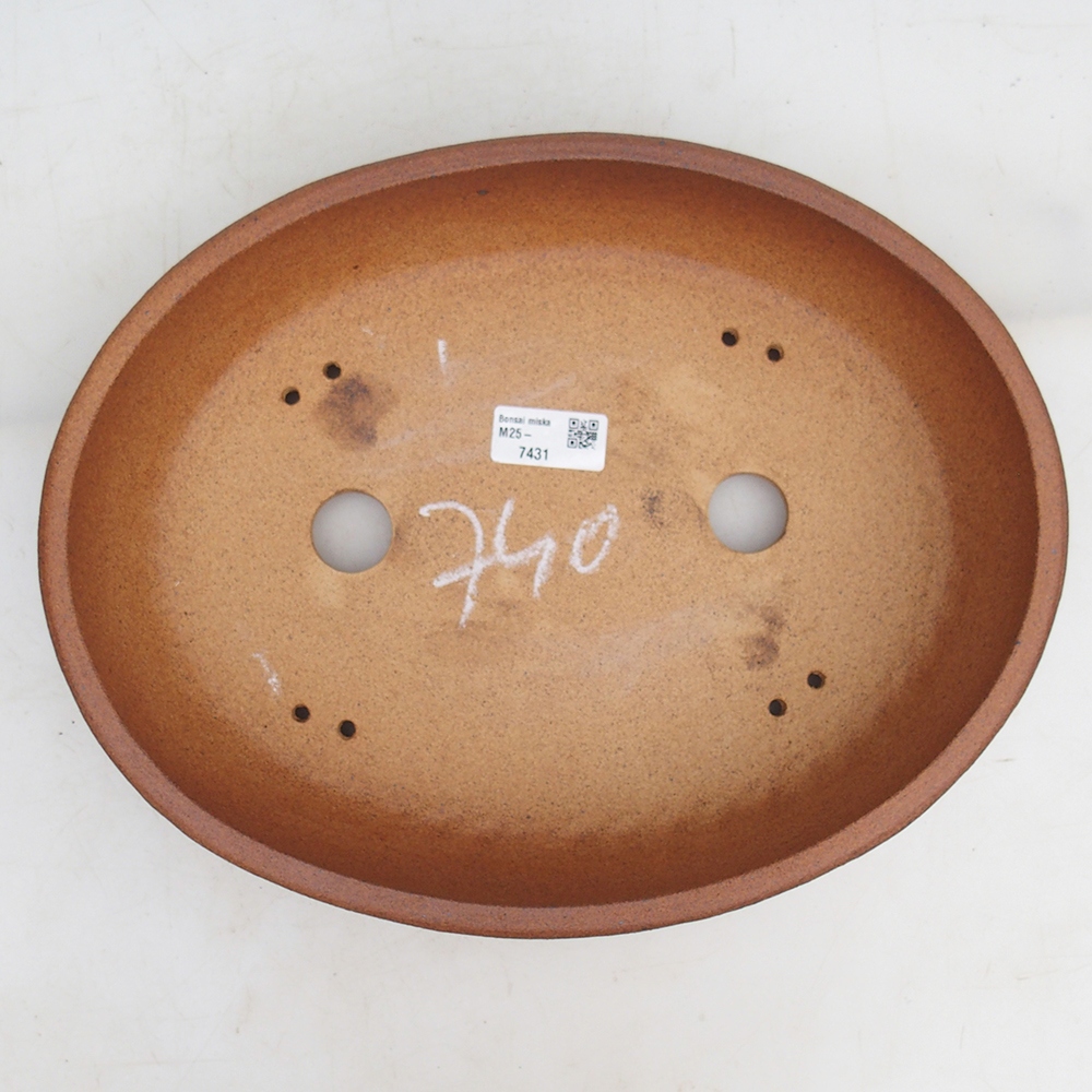 Bol pour bonsaï 33 x 26 x 7,5 cm , couleur marron