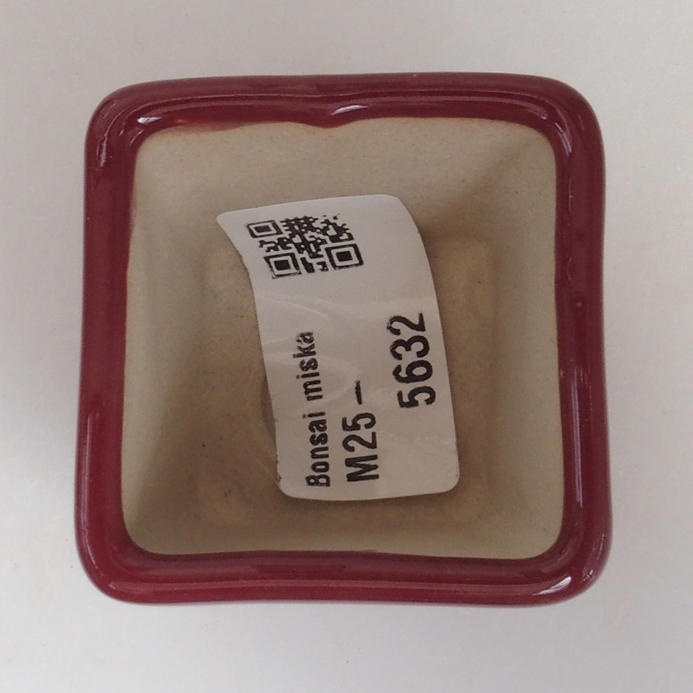 Mini bol bonsaï 4,5 x 4,5 x 4,5 cm, bordeaux