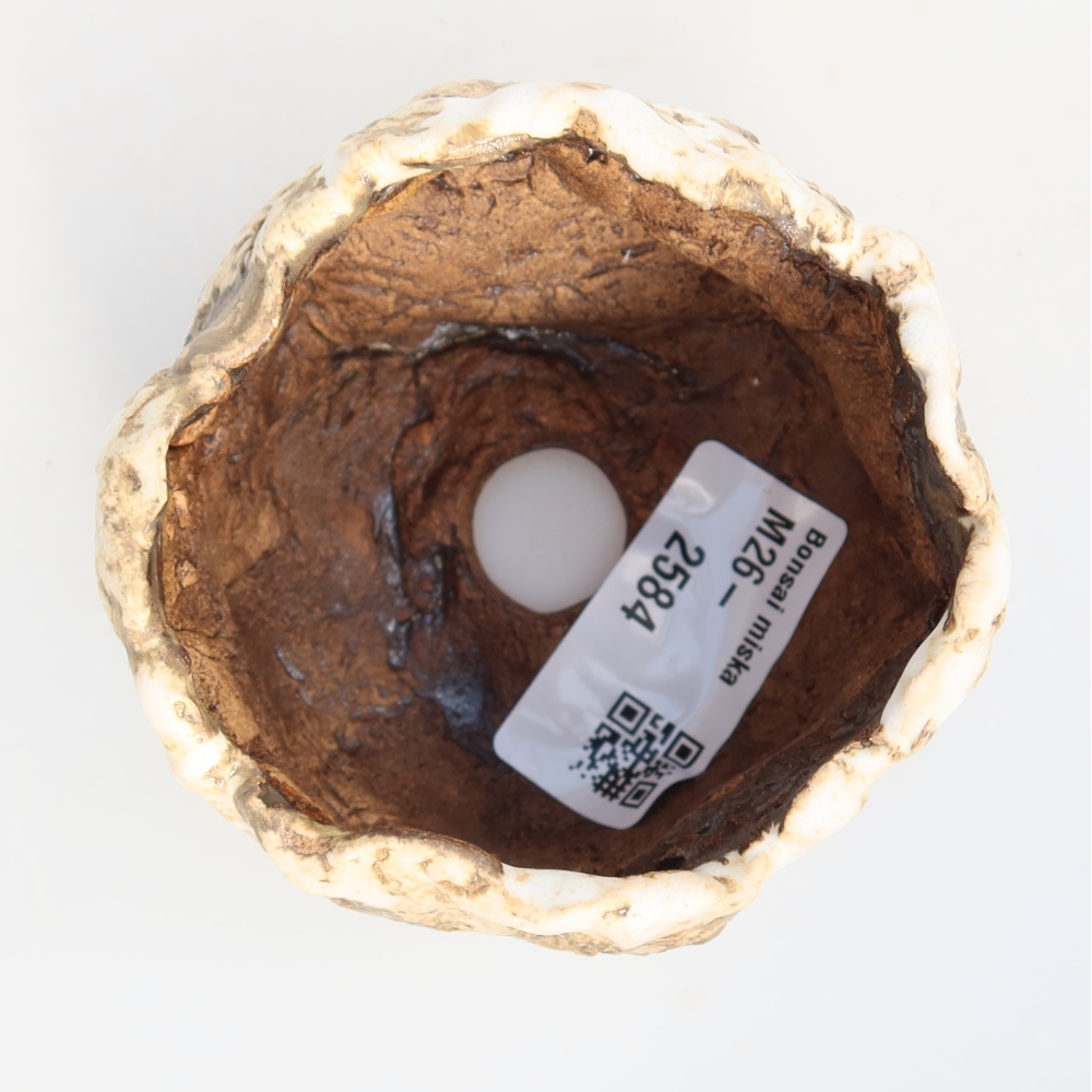 Coquille en céramique  7,5 x 7 x 5 cm, couleur blanc-brun