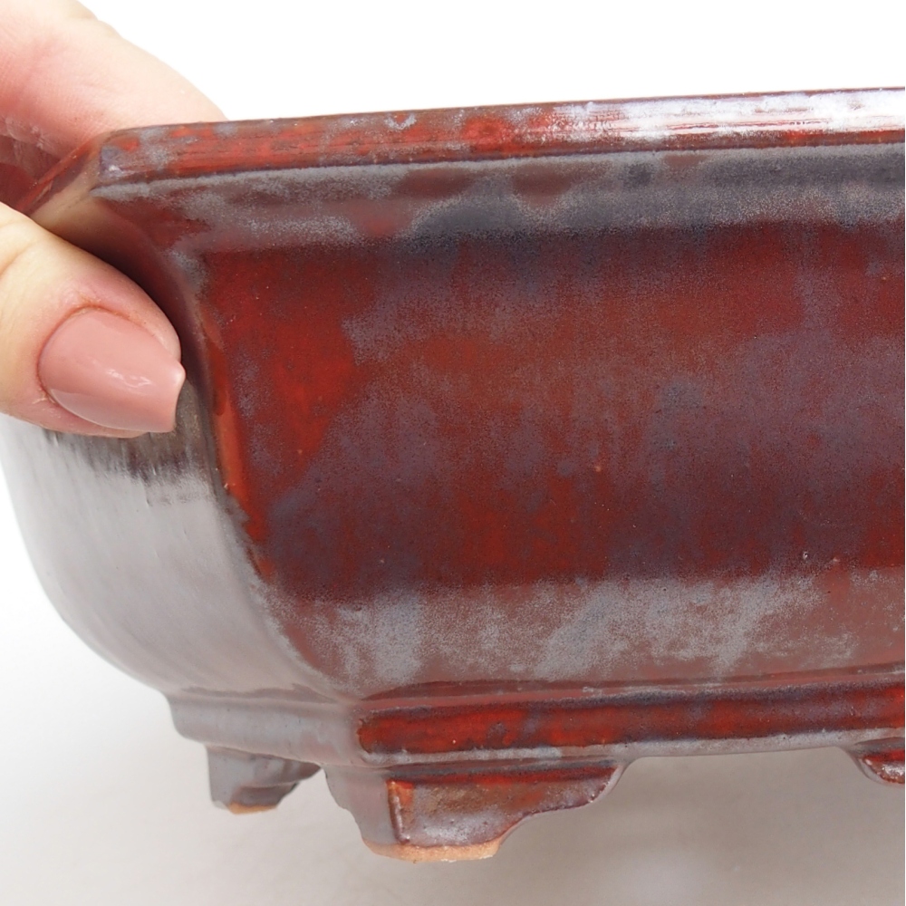 Bol à bonsaï en céramique 24,5 x 22 x 7,5 cm, couleur noir rouge