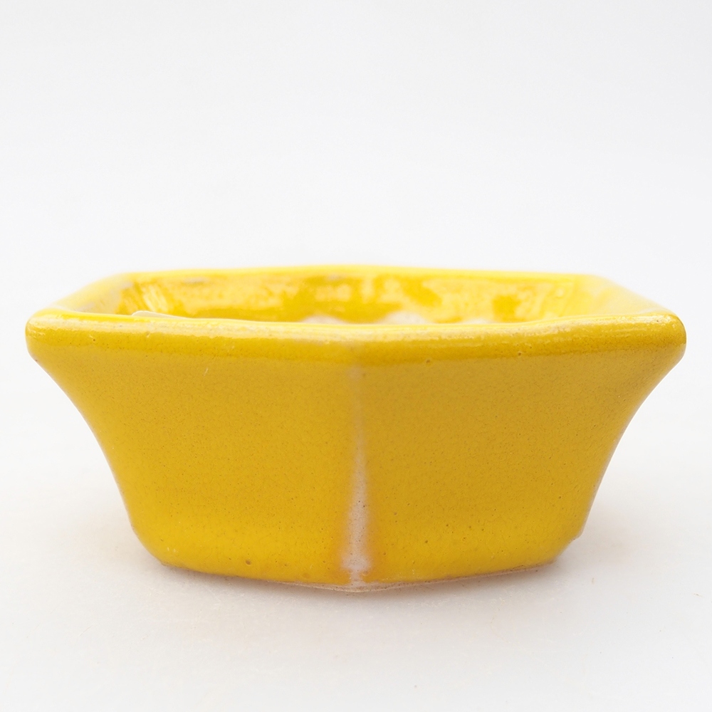 Mini bol bonsaï 6 x 5,5 x 2,5 cm, jaune
