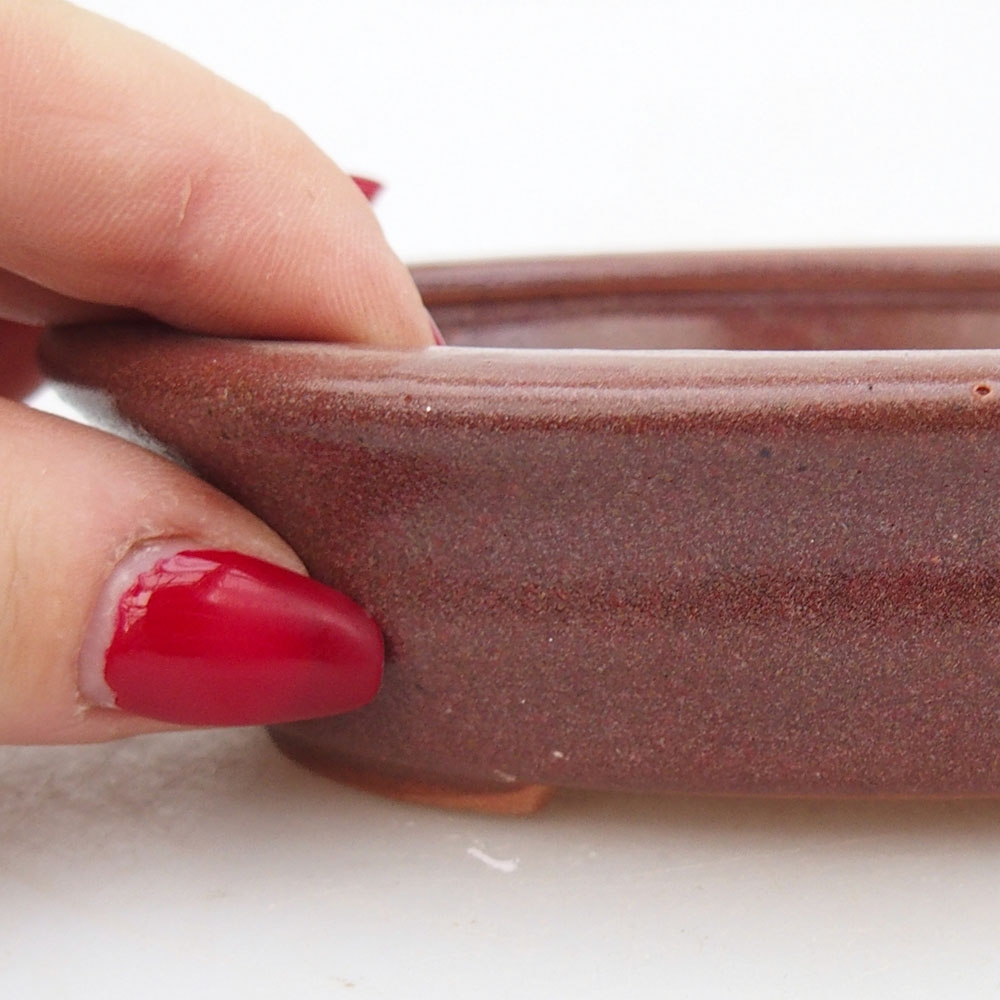 Bol à bonsaï en céramique 12 x 10 x 3 cm, bordeaux