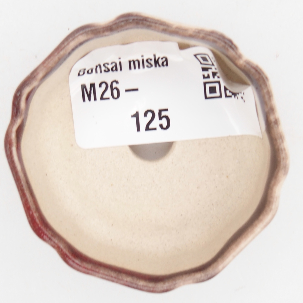 Mini bol bonsaï 4,5 x 4,5 x 2 cm, couleur rouge