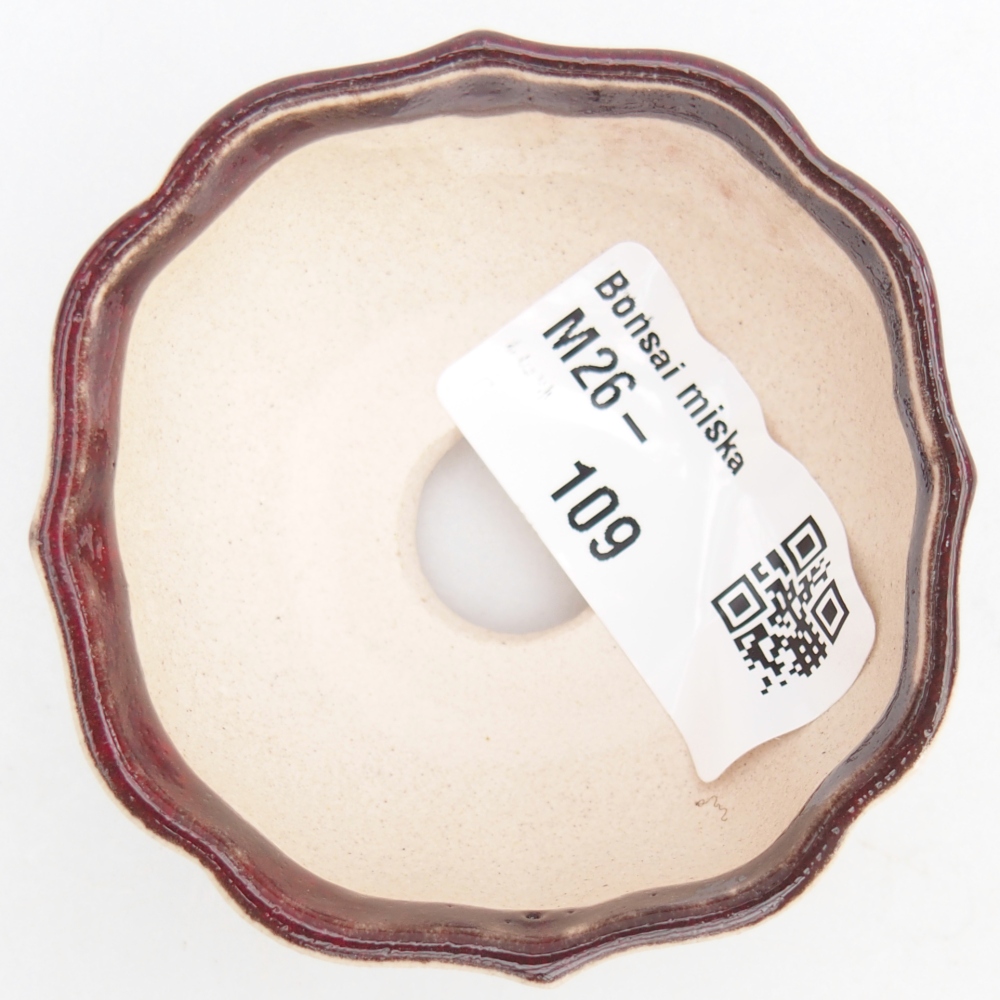 Mini bol bonsaï 6 x 6 x 3 cm, couleur rouge