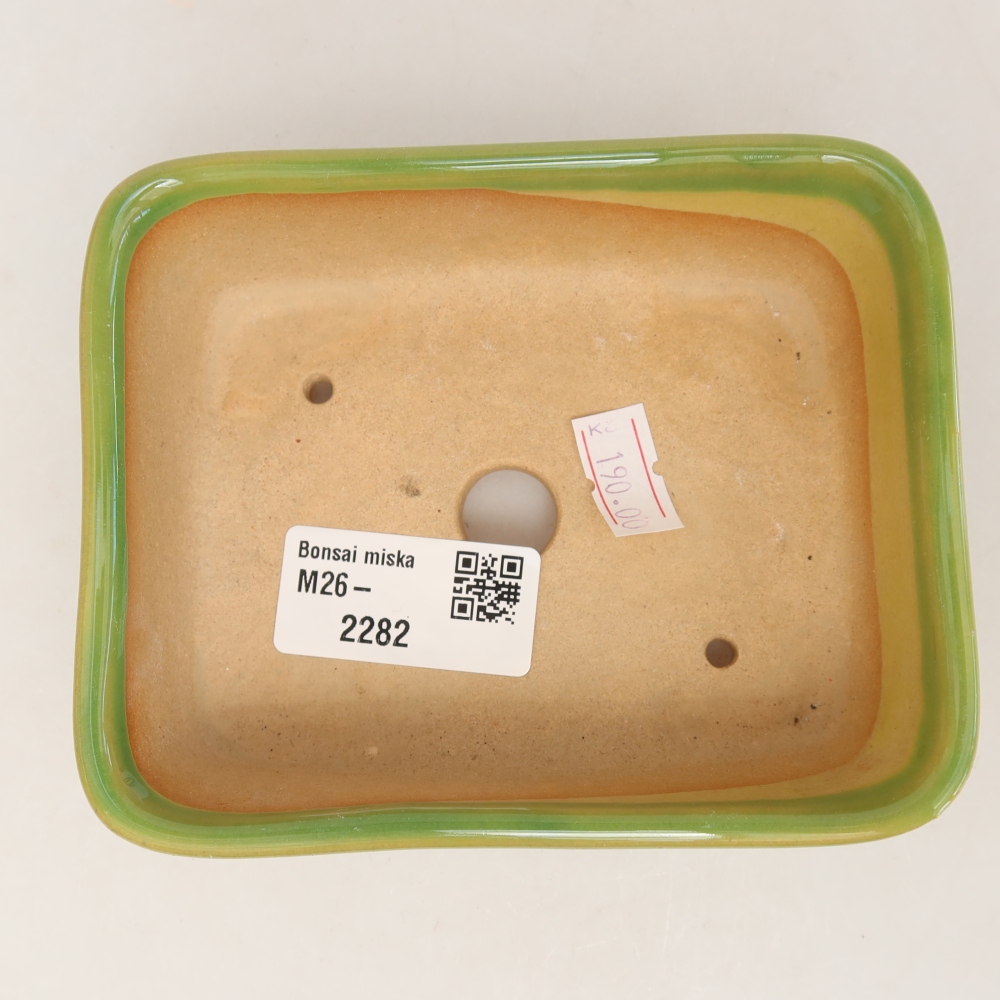 Pot à bonsaï en céramique 12,5 x 9,5 x 4 cm, couleur verte